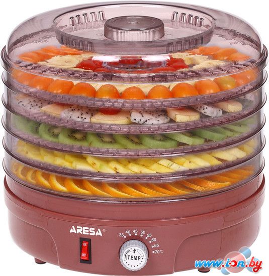 Сушилка для овощей и фруктов Aresa AR-2602 [FD-441] в Гомеле