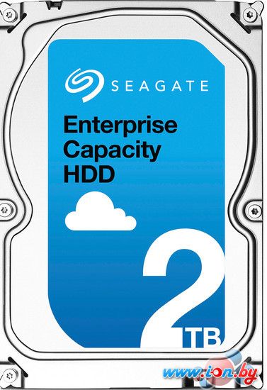 Жесткий диск Seagate Enterprise Capacity 3.5 v5.1 2TB [ST2000NM0008] в Могилёве