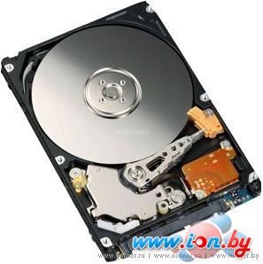 Жесткий диск Fujitsu MJA2 BH 500 Гб (MJA2500BH) в Бресте