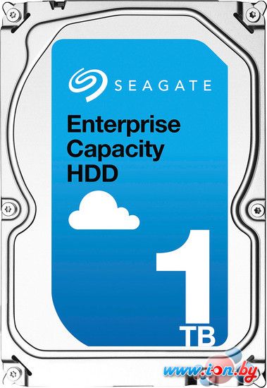Жесткий диск Seagate Enterprise Capacity 3.5 v5.1 1TB [ST1000NM0008] в Гомеле