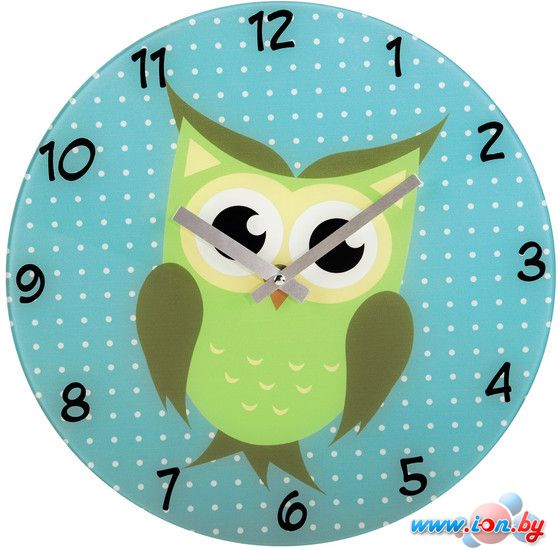 Настенные часы Hama Owl (бирюзовый) [00136213] в Гомеле