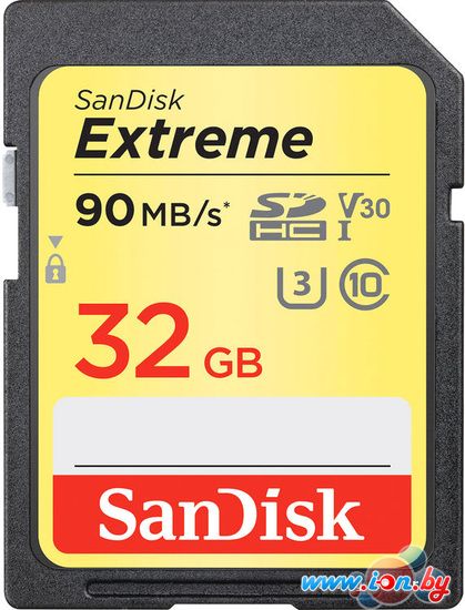 Карта памяти SanDisk Extreme V30 SDHC 32GB [SDSDXVE-032G-GNCIN] в Могилёве
