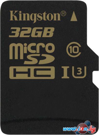 Карта памяти Kingston Gold microSDHC UHS-I (Class 3) U3 32GB [SDCG/32GBSP] в Могилёве