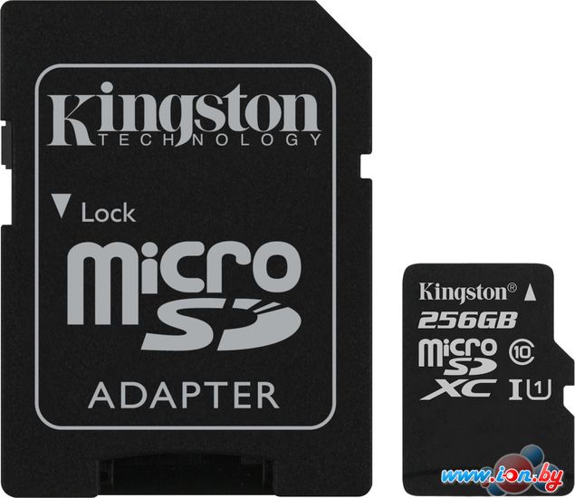 Карта памяти Kingston microSDXC UHS-I (Class 10) 256GB + адаптер [SDC10G2/256GB] в Минске