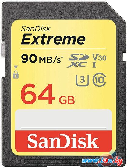 Карта памяти SanDisk Extreme V30 SDXC 64GB [SDSDXVE-064G-GNCIN] в Могилёве