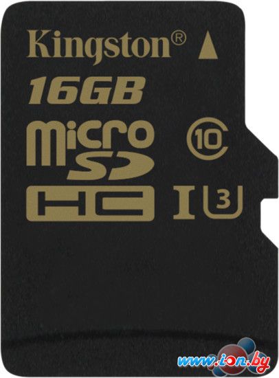 Карта памяти Kingston Gold microSDHC UHS-I (Class 3) U3 16GB [SDCG/16GBSP] в Могилёве