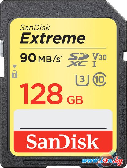Карта памяти SanDisk Extreme V30 SDHC 128GB [SDSDXVF-128G-GNCIN] в Могилёве