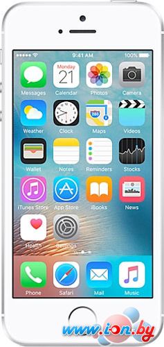 Смартфон Apple iPhone SE 128GB Silver в Могилёве