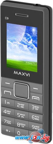 Мобильный телефон Maxvi C9 Grey в Могилёве