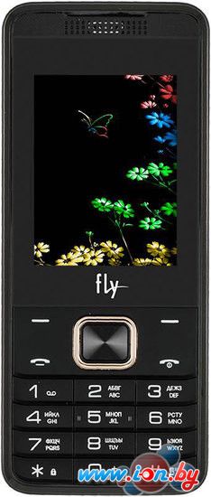 Мобильный телефон Fly FF245 Champagne в Могилёве