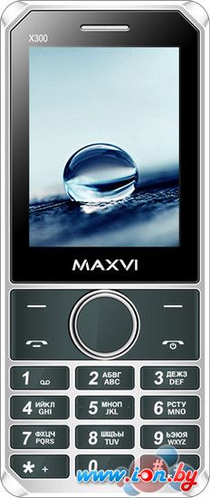 Мобильный телефон Maxvi X300 Grey в Могилёве
