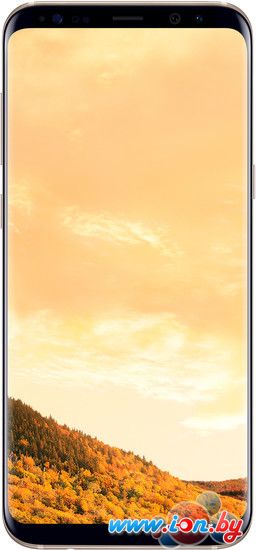 Смартфон Samsung Galaxy S8+ Dual SIM 64GB (желтый топаз) [G955FD] в Могилёве