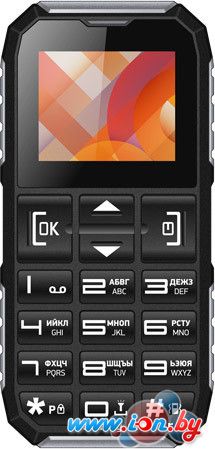 Мобильный телефон Vertex C307 Black в Могилёве