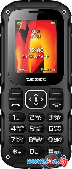 Мобильный телефон TeXet TM-504R Black/Red в Могилёве