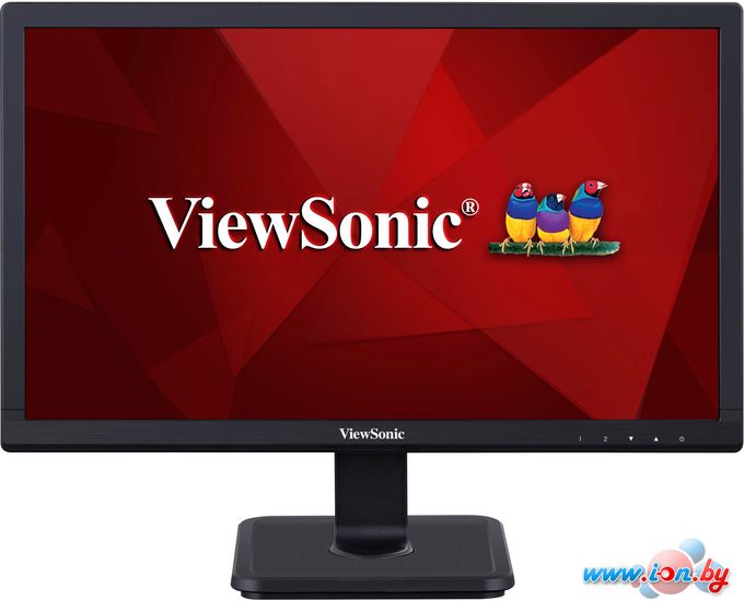 Монитор ViewSonic VA1901-A в Гомеле