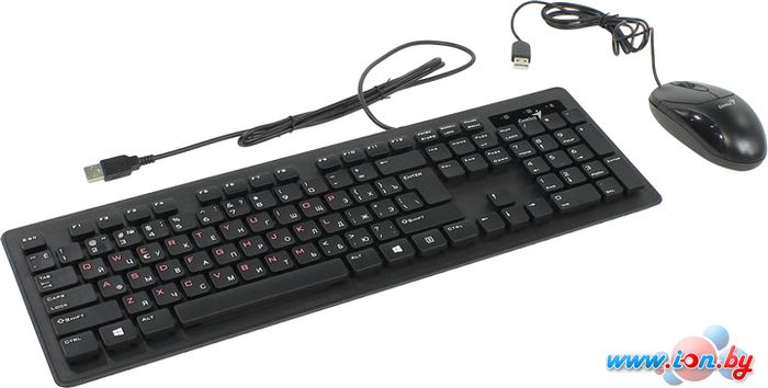 Мышь + клавиатура Genius SlimStar C100X в Могилёве