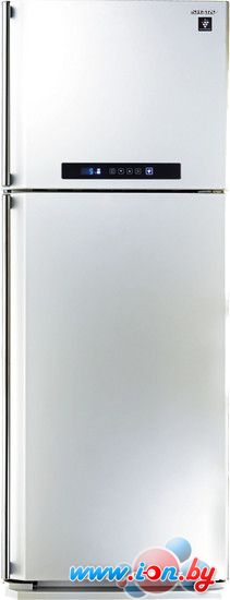 Холодильник Sharp SJ-PC58AWH в Бресте