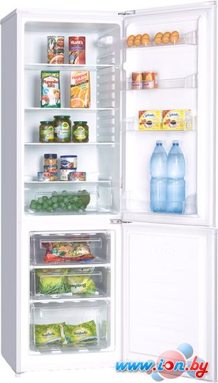 Холодильник Shivaki SHRF-270DW в Могилёве
