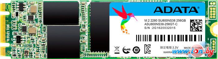 SSD A-Data Ultimate SU800 256GB [ASU800NS38-256GT-C] в Гродно