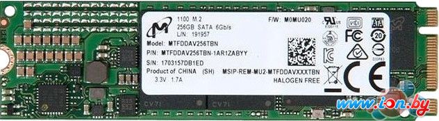 SSD Micron 1100 256GB [MTFDDAV256TBN-1AR1ZABYY] в Могилёве
