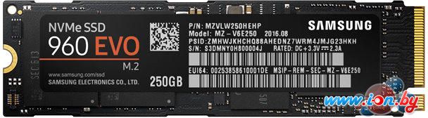 SSD Samsung 960 Evo 250GB [MZ-V6E250BW] в Могилёве