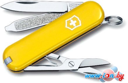 Туристический нож Victorinox Classic SD [0.6223.8] в Бресте