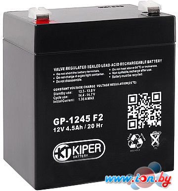 Аккумулятор для ИБП Kiper GP-1245 F2 (12В/4.5 А·ч) в Гродно