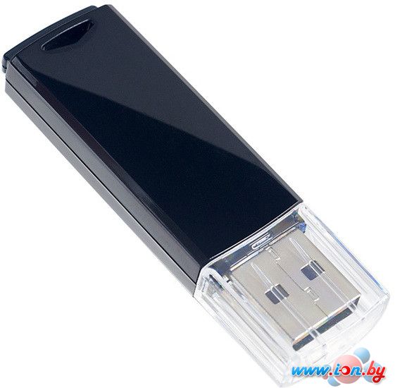 USB Flash Perfeo C06 4GB (черный) [PF-C06B004] в Могилёве