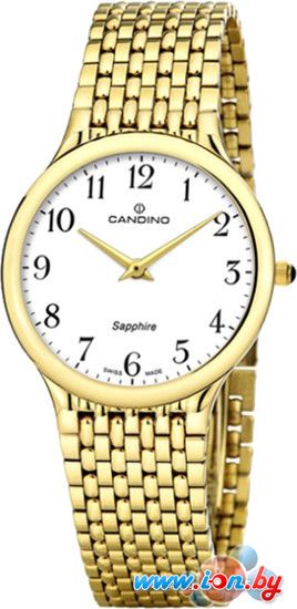 Наручные часы Candino C4363/1 в Бресте