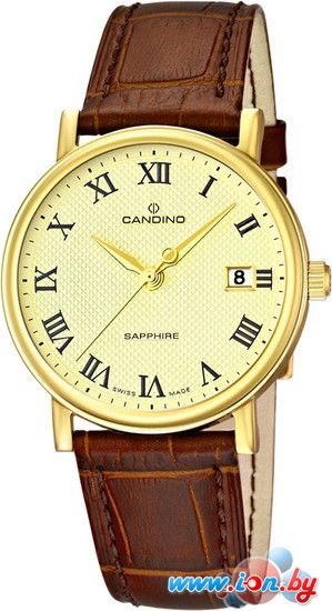 Наручные часы Candino C4489/4 в Могилёве
