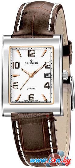 Наручные часы Candino C4348/G в Бресте