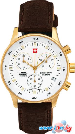 Наручные часы Swiss Military by chrono SM30052.05 в Витебске