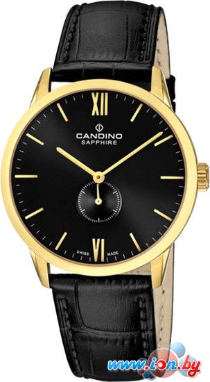 Наручные часы Candino C4471/4 в Витебске
