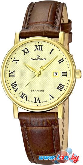 Наручные часы Candino C4490/4 в Бресте