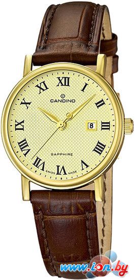 Наручные часы Candino C4490/3 в Могилёве