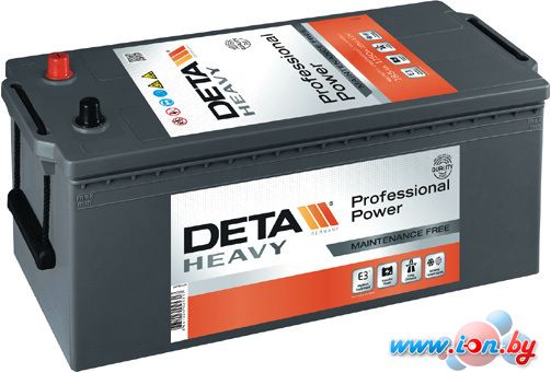 Автомобильный аккумулятор DETA Professional Power DF1453 (145 А·ч) в Бресте