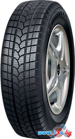 Автомобильные шины Tigar Winter 1 165/70R14 81T в Могилёве