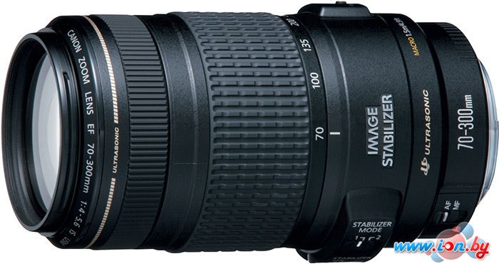 Объектив Canon EF 70-300mm f/4-5.6 IS USM в Гомеле