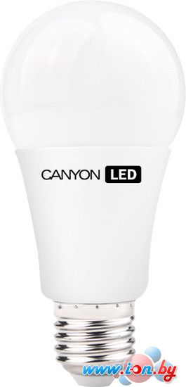 Светодиодная лампа Canyon LED A60 E27 10 Вт 2700 К [AE27FR10W230VW] в Витебске