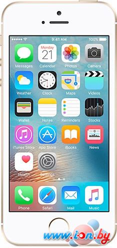 Смартфон Apple iPhone SE 32GB [Б/У] в Бресте
