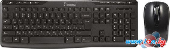 Мышь + клавиатура SmartBuy 209321AG [SBC-209321AG-K] в Гомеле
