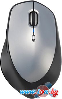 Мышь HP X5500 Wireless Mouse (H2W15AA) в Могилёве