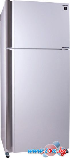 Холодильник Sharp SJ-XE59PMWH в Могилёве
