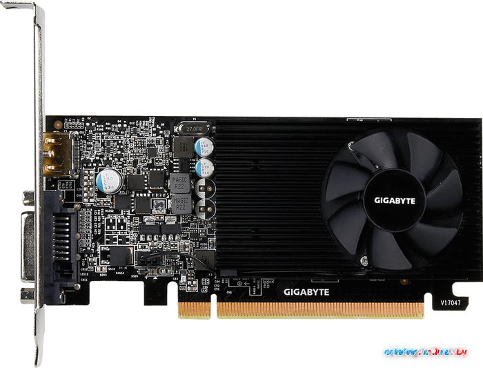 Видеокарта Gigabyte GeForce GT 1030 Low Profile 2GB [GV-N1030D5-2GL] в Гродно