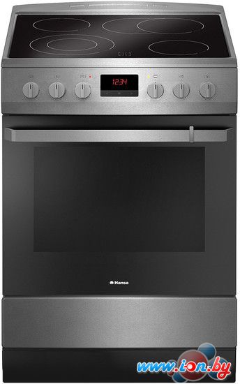 Кухонная плита Hansa FCCX68219 в Могилёве