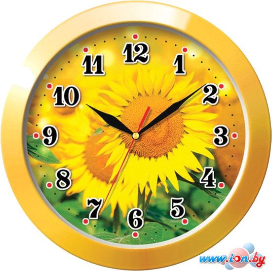 Настенные часы TROYKA 11150154 в Гродно