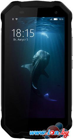 Смартфон BQ-Mobile Shark (черный) [BQ-5033] в Гродно