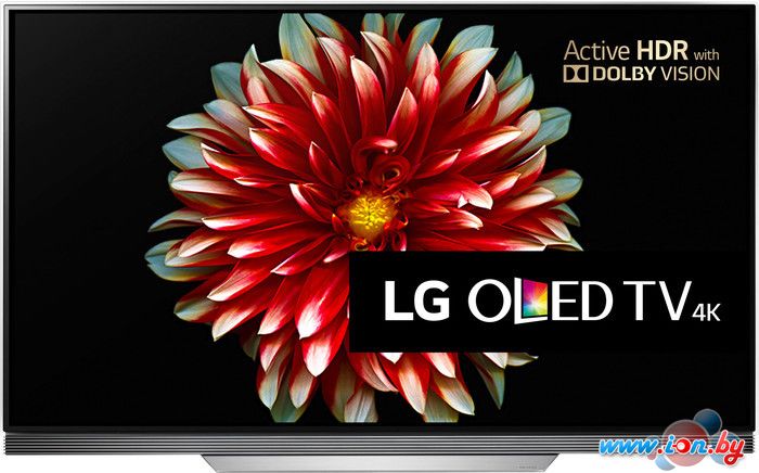 Телевизор LG OLED65E7V в Могилёве