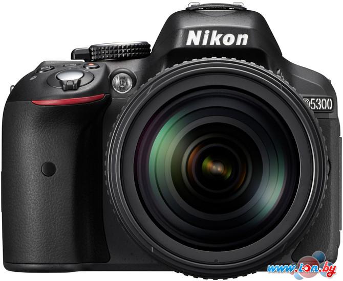 Фотоаппарат Nikon D5300 Kit 18-105mm VR в Могилёве