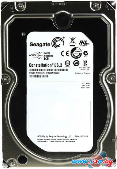 Жесткий диск Seagate Constellation ES.3 3TB (ST3000NM0023) в Могилёве